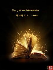 野法师之王好看吗