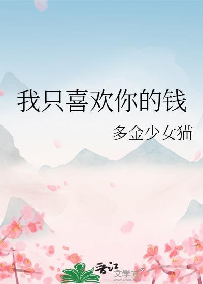 我只喜欢你的钱by风十一