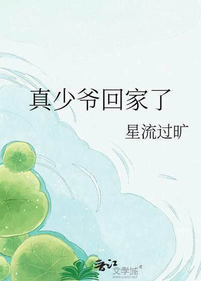 真少爷回家了txt