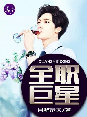 全职巨星奶爸动漫