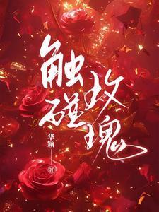 触碰玫瑰笔趣阁