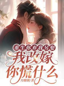 我改嫁你慌什么371