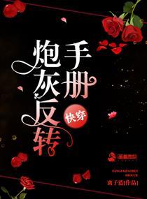 快穿炮灰的反击