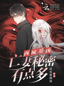 西城电视剧名字叫什么