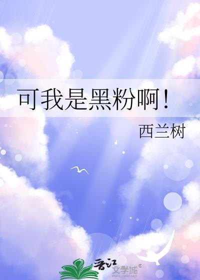 可我是黑粉啊!TXT