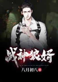 叶新林清雪无弹窗免费阅读