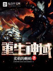 重生神域游戏