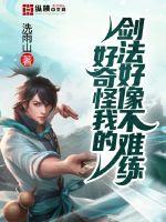 我的剑法不可能这么好