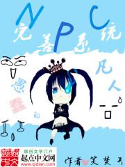 npc全系列