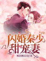 闪婚秦少甜宠妻免费阅读