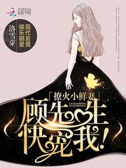 撩妻上瘾免费阅读