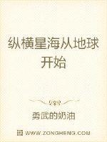 从纵横四海开始
