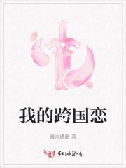 我的跨国恋情