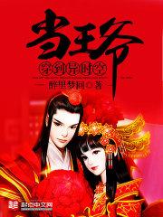 穿到异时空当王爷的