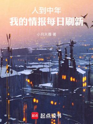 我的情报每日刷新(1-381)