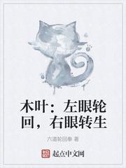 宇智波佐助左眼轮回眼