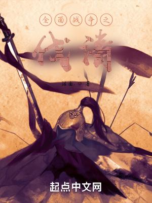 看一下全面战争