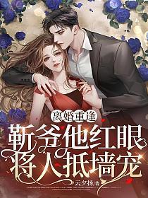 靳爷追妻太辛苦