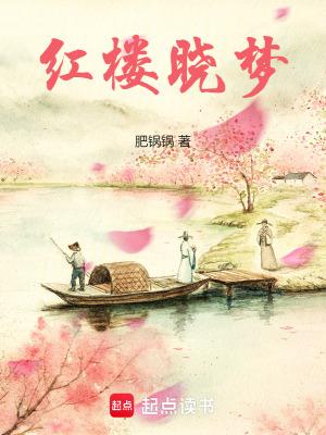 红楼晓梦笔趣阁免费阅读