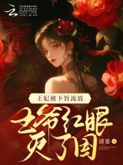 王爷受伤那晚王妃连夜赶赴边关