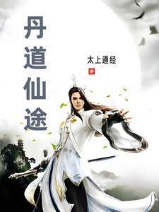 丹道仙途TXT百度