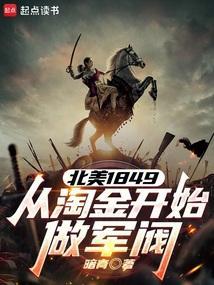 北美1849从淘金开始做军阀