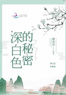 深白色的秘密免费阅读
