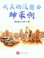 我真的没想当神豪啊 西北的小人物