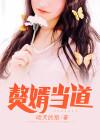 赘婿当道言情中文网