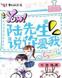 陆先生爱你终成功