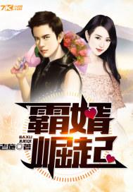 霸婿崛起TXT电子书