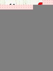 飞升后我嫁入了豪门免费阅读