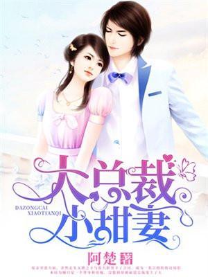 大总裁小娇妻书名
