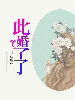 此婚了了讲什么