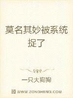 电脑莫名其妙系统丢了