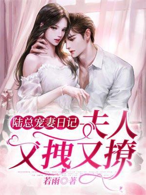 陆总夫人又闹离婚了全文免费阅读