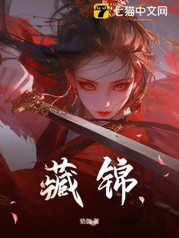 藏锦宜个人简历