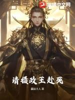 摄政王请专心谋反剧透