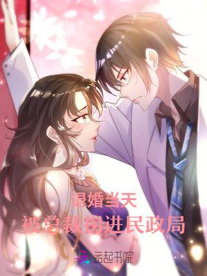 退婚当天被总裁拐进民政局免费阅读