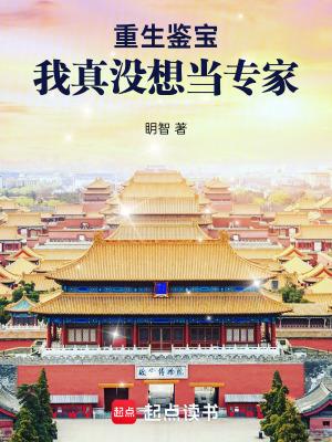 重生鉴宝我真没想当专家全本