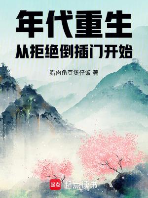 年代重生从拒绝倒插门开始飞鸟中文