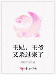 王妃又去打劫啦全文免费阅读