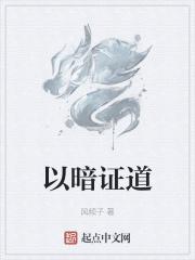 以暗致明怎么翻译