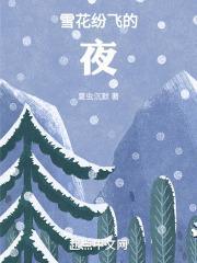 雪花飞纷纷飘落什么歌