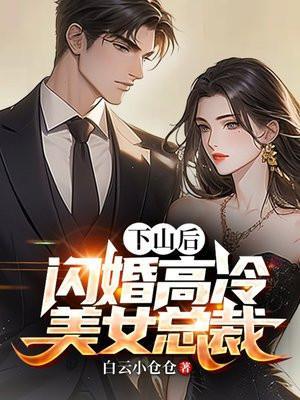 闪婚高冷美女总裁 白云小仓仓