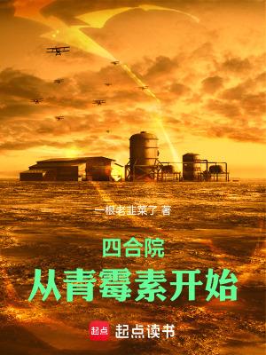 四合院从青霉素开始作者一根老韭菜了