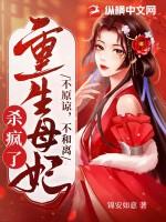 重生母妃杀疯了