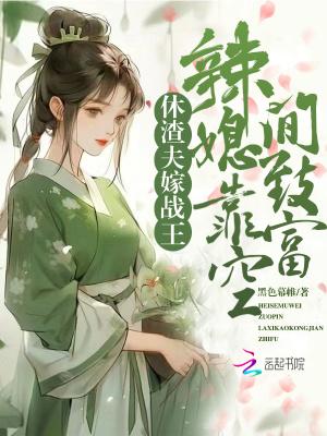 穿越休夫王妃要改嫁