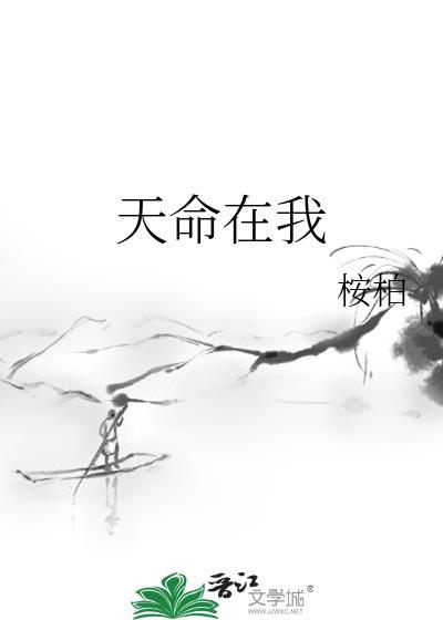 天命在我txt资源
