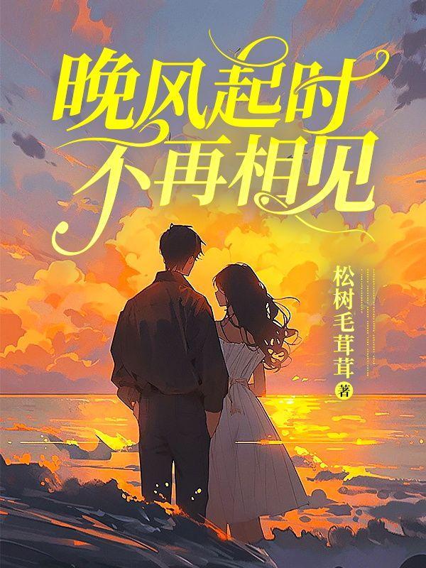 晚风起时不再相见免费阅读